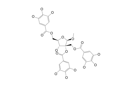 1-METHYL-2,5,6-TRI-O-GALLOYL-BETA-D-HAMAMELOFURANOSIDE