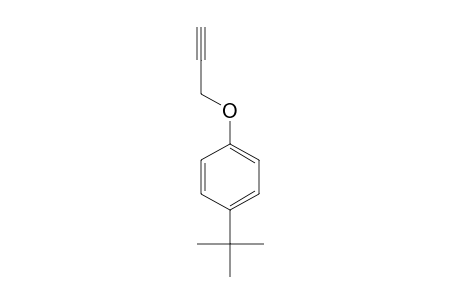 Prop-3-yn-1-yl(4-tert-butylphenyl) ether