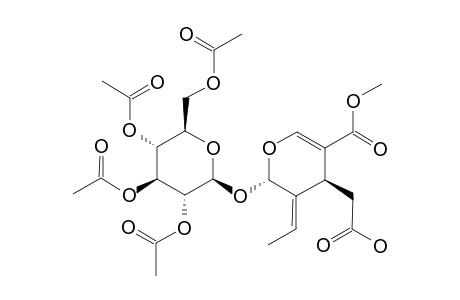 4-CARBOXYMETHYL-5-ETHYLIDENE-6-(3,4,5-TRIACETOXY-6-ACETOXYMETHYL-TETRAHYDROPYRAN-2-YLOXY)-5,6-DIHYDRO-4H-PYRAN-3-CARBOXYLIC-ACID-METHYLESTER