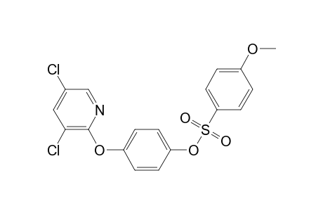 4-Methoxy-benzenesulfonic acid 4-(3,5-dichloro-pyridin-2-yloxy)-phenyl ester