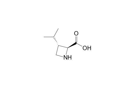 (2S,3S)-3-Isopropylazetidine-2-carboxylic acid