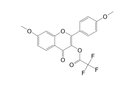 7,4'-Dimethoxy-3-(trifluoroacetyl)oxyflavone