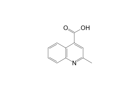 2-methylcinchoninic acid