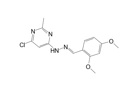 2,4-Dimethoxybenzaldehyde (6-chloro-2-methyl-4-pyrimidinyl)hydrazone
