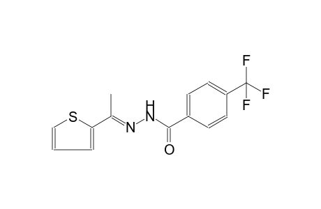 N'-[(E)-1-(2-thienyl)ethylidene]-4-(trifluoromethyl)benzohydrazide