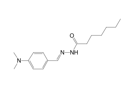 Heptanehydrazide, N2-(4-dimethylaminobenzylideno)-