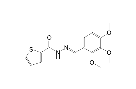 N'-[(E)-(2,3,4-trimethoxyphenyl)methylidene]-2-thiophenecarbohydrazide