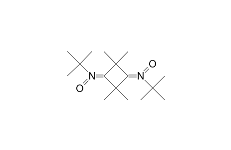 N,N'-(2,2,4,4-Tetramethyl-cyclobutanediylidene)-bis-tert-butylamine N,N'-dioxide