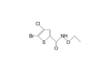 2-Thiophenecarboxamide, 5-bromo-4-chloro-N-ethoxy-