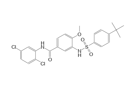 3-{[(4-tert-butylphenyl)sulfonyl]amino}-N-(2,5-dichlorophenyl)-4-methoxybenzamide