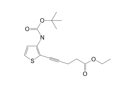 5-[3-(tert-butoxycarbonylamino)-2-thienyl]pent-4-ynoic acid ethyl ester