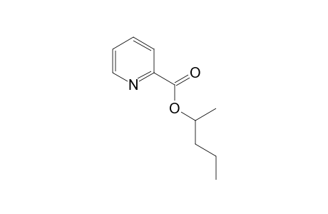 2-Pyridinecarboxylic acid, pent-2-yl ester