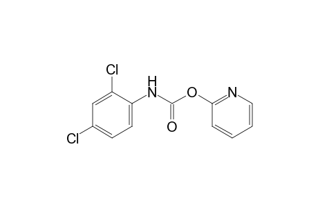 2,4-dichlorocarbanilic acid, 2-pyridyl ester