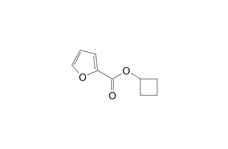 Cyclobutyl 2-furoate