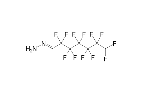 7-H-Dodecafluoroheptanal - hydrazone