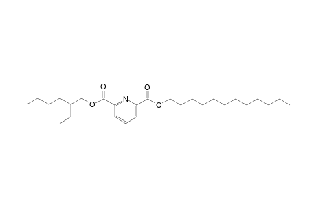 2,6-Pyridinedicarboxylic acid, dodecyl 2-ethylhexyl ester