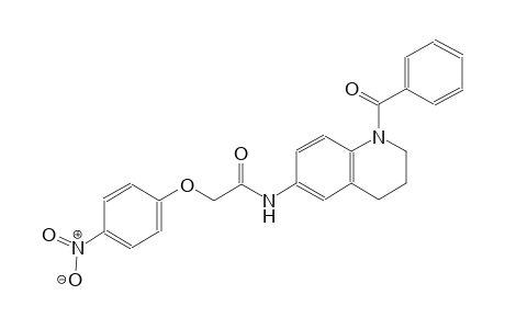 N-(1-benzoyl-1,2,3,4-tetrahydro-6-quinolinyl)-2-(4-nitrophenoxy)acetamide