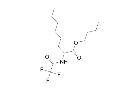 Octanoic acid, 2-[(trifluoroacetyl)amino]-, butyl ester