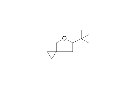 5-TERT-BUTYL-4-OXASPIRO[2.4]HEPTANE