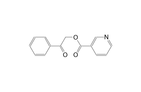 3-pyridinecarboxylic acid, 2-oxo-2-phenylethyl ester