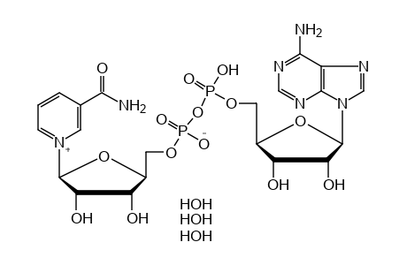 3-CARBAMOYL-1-beta-D-RIBOFURANOSYLPYRIDINIUM HYDROXIDE, 5'TO 5'-ESTER WITH ADENOSINE 5'-(TRIHYDROGEN PYROPHOSPHATE), INNER SALT, TRIHYDRATE