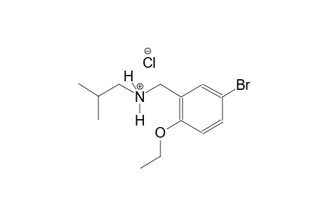 N-(5-bromo-2-ethoxybenzyl)-2-methyl-1-propanaminium chloride