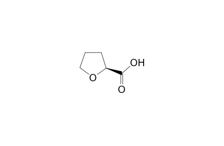 (S)-(-)-Tetrahydrofuran-2-carboxylic acid