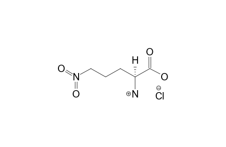 (S)-5-NITRONORVALINE-HYDROCHLORIDE