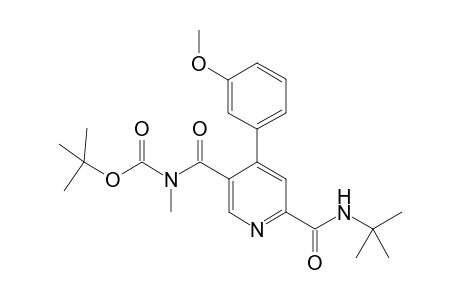 N-[3-(6-[(1,1-Dimethylethylamino)carbonyl]-4-(3-methoxyphenyl)]pyridinecarbonyl]]-N-methylcarbamic acid (1,1-dimethykethyl) ester