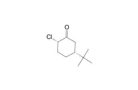 CIS-2-CHLORO-5-(1,1-DIMETHYLETHYL)-CYCLOHEXANONE