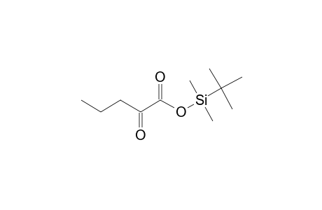 2-Oxovaleric acid, tbdms derivative