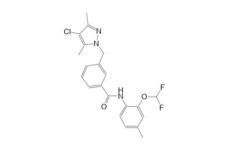 3-[(4-chloro-3,5-dimethyl-1H-pyrazol-1-yl)methyl]-N-[2-(difluoromethoxy)-4-methylphenyl]benzamide