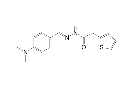 2-thiopheneacetic acid, 2-[(E)-[4-(dimethylamino)phenyl]methylidene]hydrazide