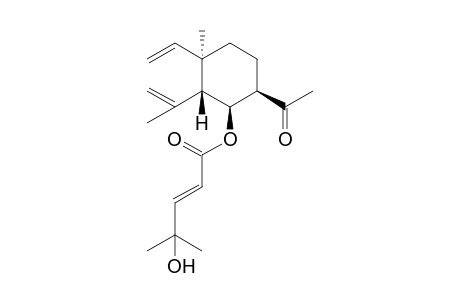 (1R,2R,3S,4R)-3-[(4'-Hydroxy-4'-methyl-1'-oxopent-2'-enyl)oxy]-2-isopropenyl-1-vinyl-1-methyl-4-acetylcyclohexane