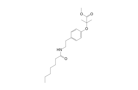 Methyl 2-[4-(2-heptanoylamino-ethyl)phenoxy]-2-methyl-propanoate