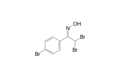 2,2-Dibromo-1-(4-bromophenyl)ethanone oxime