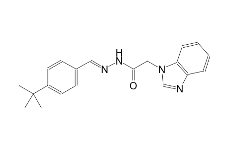 1H-benzimidazole-1-acetic acid, 2-[(E)-[4-(1,1-dimethylethyl)phenyl]methylidene]hydrazide