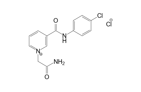 1-(crabamoylmethyl)-3-[(p-chlorophenyl)carbamoyl]pyridinium chloride