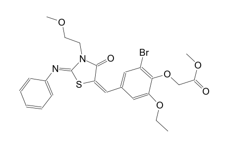 methyl (2-bromo-6-ethoxy-4-{(E)-[(2Z)-3-(2-methoxyethyl)-4-oxo-2-(phenylimino)-1,3-thiazolidin-5-ylidene]methyl}phenoxy)acetate