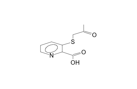 3-acetonylthiopyridine-2-carboxylic acid
