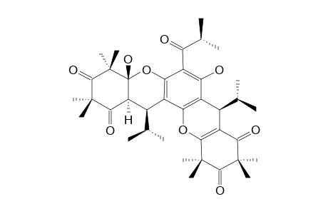 MYRTUCOMMULONE-D