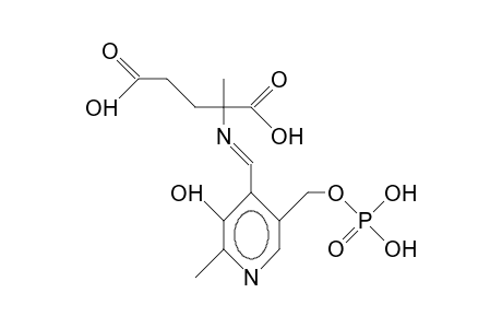 Pyridoxal phosphate A-methyl-L-glutamate aldimine