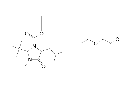 2-tert-BUTYL-5-[2-(2-CHLOROETHOXY)ETHYL]-5-ISOBUTYL-3-METHYL-4-OXO-IMIDAZOLIDINE-1-CARBOXYLIC ACID, tert-BUTYL ESTER
