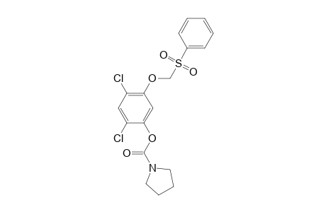 2,4-Dichloro-1-(benzenesulfonylmethoxy)-5-(1-pyrrolidincarbonyloxy)-benzene