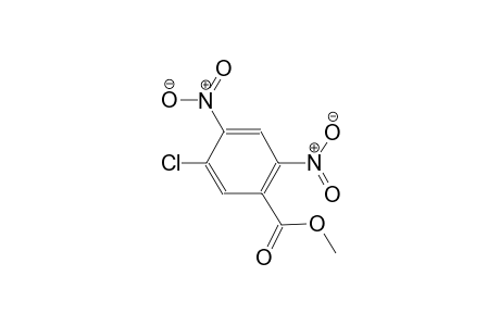 methyl 5-chloro-2,4-dinitrobenzoate
