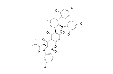 SANGGENON-C