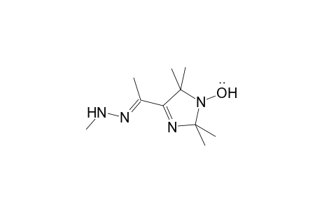 N-[(E)-1-(1-hydroxy-2,2,5,5-tetramethyl-4-imidazolyl)ethylideneamino]methanamine