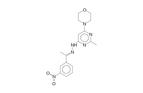 (2-methyl-6-morpholino-pyrimidin-4-yl)-[(E)-1-(3-nitrophenyl)ethylideneamino]amine