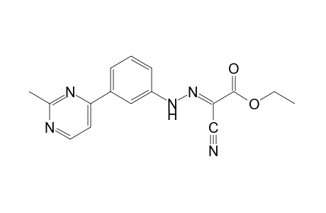 2-cyanoglyoxylic acid, [m-(2-methyl-4-pyrimidinyl)phenyl]hydrazone