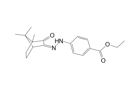 Benzoic acid, 4-[N'-(4,7,7-trimethyl-3-oxo-bicyclo[2.2.1]hept-2-ylidene)hydrazino]-, ethyl ester
